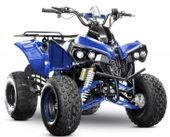 Quad électrique 13 ans et plus