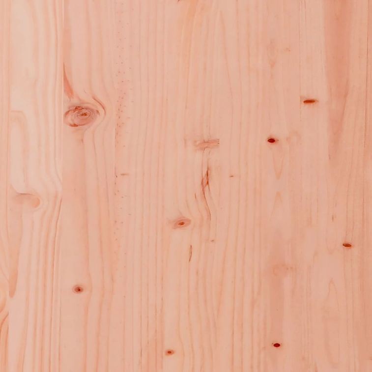 Aire de jeux d'extérieur bois massif de douglas - Photo n°10