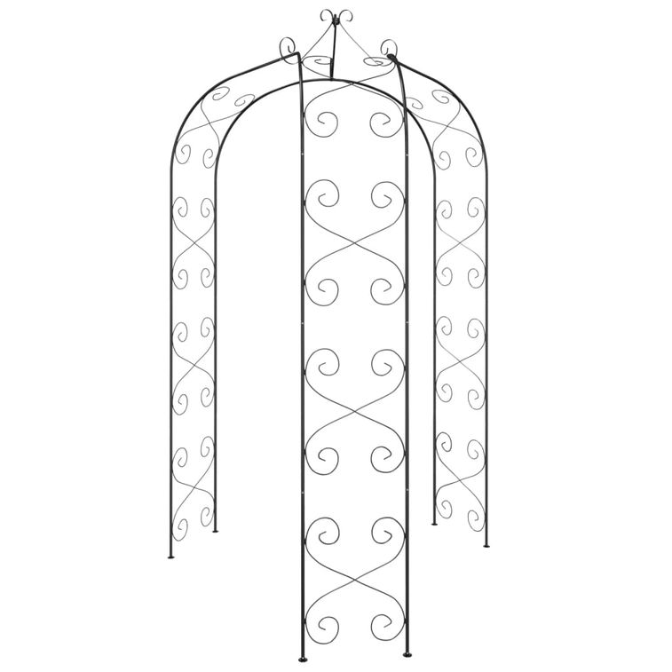 Arche de jardin Noir Ø180x255 cm Acier - Photo n°3