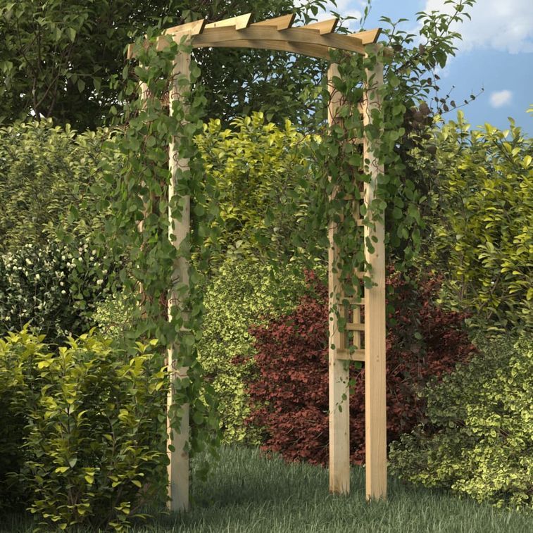 Arche en treillis 110x60x220 cm Bois de pin massif imprégné - Photo n°1