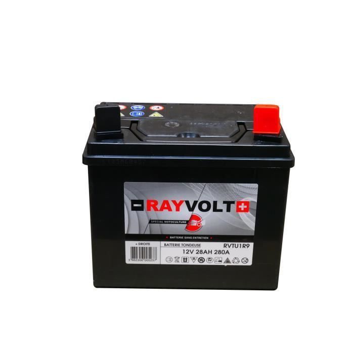Batterie tondeuse RAYVOLT UR19 28AH 280A (+ a droite) - Photo n°1