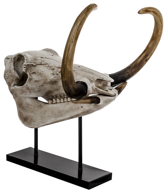 Sculpture crâne résine ivoire vieilli Jack - Photo n°1