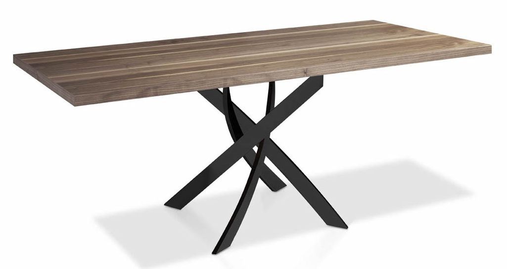 Table rectangulaire bois noyer et acier noir Gala - Photo n°1