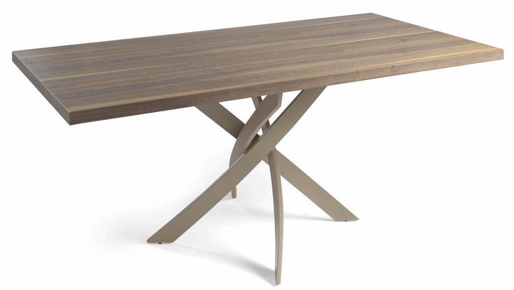 Table rectangulaire bois noyer et fibre de verre taupe Gala - Photo n°1