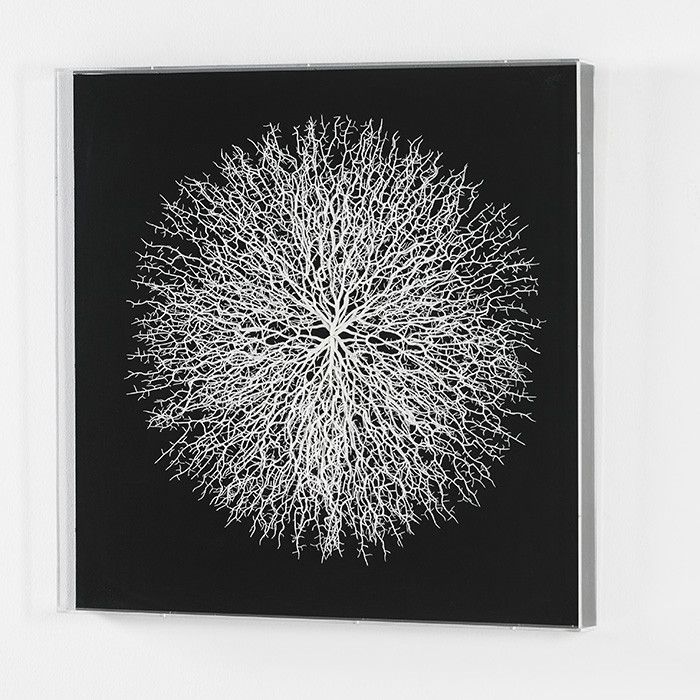 Tableau carré acrylique transparent et noir Norah - Photo n°1