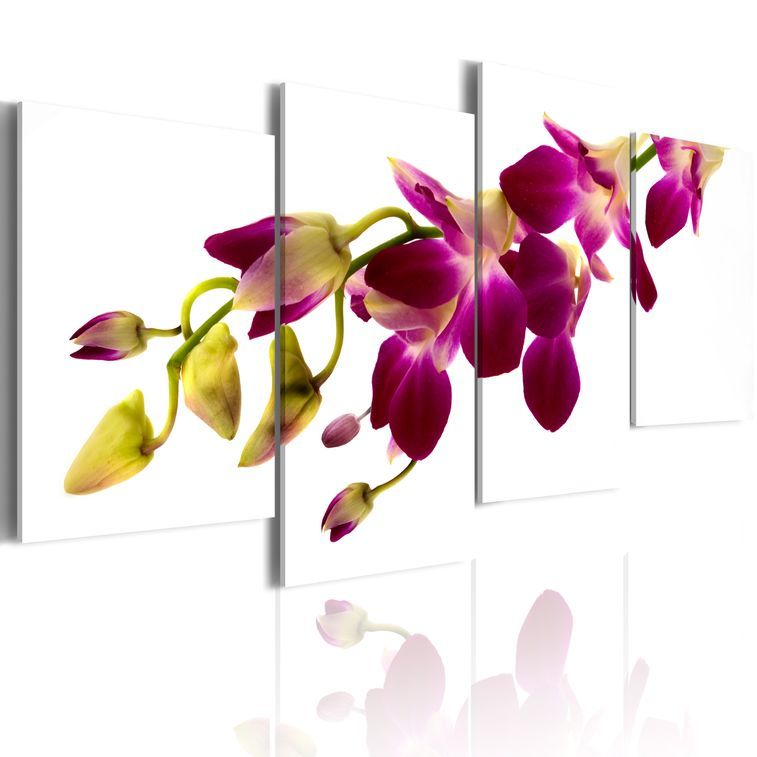 Tableau Eclat d'une orchidée - Photo n°1