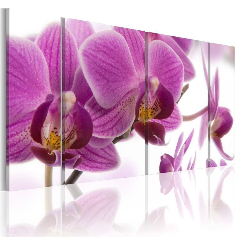Tableau Marvelous orchid - Photo n°1