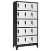 Anthracite/Blanc