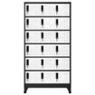 Anthracite/Blanc