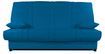 Bleu canard