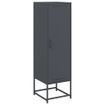 Gris anthracite
