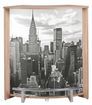 Impression NY city