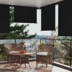 Auvent latéral de balcon 160x250 cm Noir