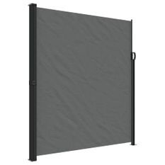 Auvent latéral rétractable anthracite 220x600 cm