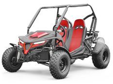 Buggy adulte 150cc RSR rouge