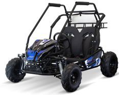 Buggy enfant essence Forest 212cc – 2 places