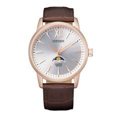 Citizen Ak5003-05a