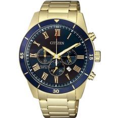 Citizen An8169-58l