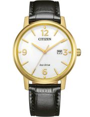 Citizen Bm6756-01a