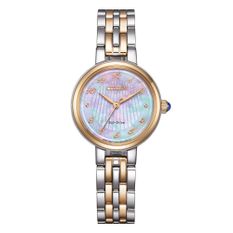Citizen Em0996-84y