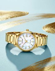 Citizen Fe1242-78d