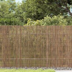 Clôture de jardin 500x90 cm roseau