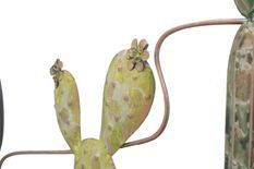 Décoration murale cactus -b- cm 90x2,5x64