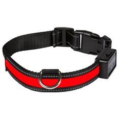 EYENIMAL Collier lumineux Light Collar USB rechargeable M - Rouge - Pour chien