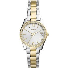 Fossil Es4319