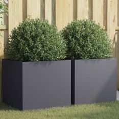 Jardinières 2 pcs anthracite 49x47x46 cm acier laminé à froid