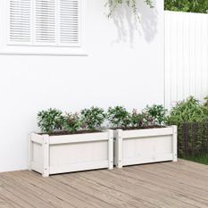 Jardinières 2 pcs blanc bois de pin massif