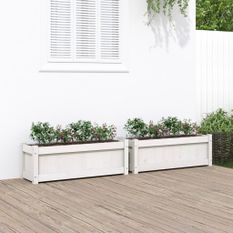 Jardinières 2 pcs blanc bois de pin massif