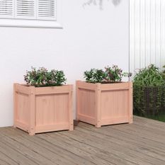 Jardinières 2 pcs bois massif douglas