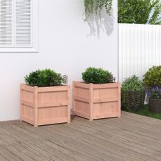 Jardinières 2 pcs bois massif douglas