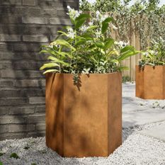 Jardinières 2 pcs hexagone 46x40x45 cm acier corten