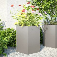 Jardinières 2 pcs hexagone 46x40x45 cm acier inoxydable