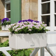 LECHUZA Jardinière BALCONERA Cottage 50 ALL-IN-ONE Blanc