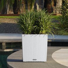 LECHUZA Jardinière CUBE Cottage 40 ALL-IN-ONE Blanc