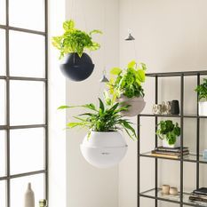 LECHUZA Jardinière suspendue BOLA Color 32 ALL-IN-ONE Blanc