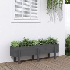 Lit surélevé de jardin gris 121x30x38 cm bois de pin massif