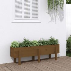 Lit surélevé de jardin marron miel 121x30x38 bois de pin massif