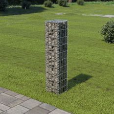 Mur à gabion avec couvercles Acier galvanisé 20 x 20 x 100 cm