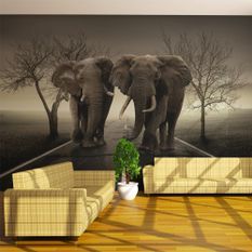 Papier peint City of elephants