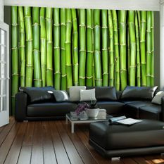 Papier peint Mur vert bambou 2