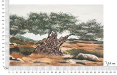 Peinture à l'huile d'olive -l- cm 120 x 3,8 x 80