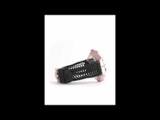 Philipp Plein Skeleton Royal PWPFA0324