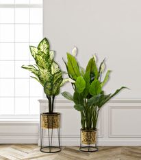 Porte-vase leavy jeu 2 pcscm ø 21x40-19x22