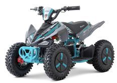 Quad électrique 1000W Nirtro Motors éco 6