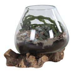 Récipient SAN MARINO H 15-20 cm – Bois de teck et verre