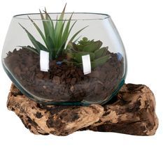 Récipient SAN MARINO H 15 cm – Bois de teck et verre